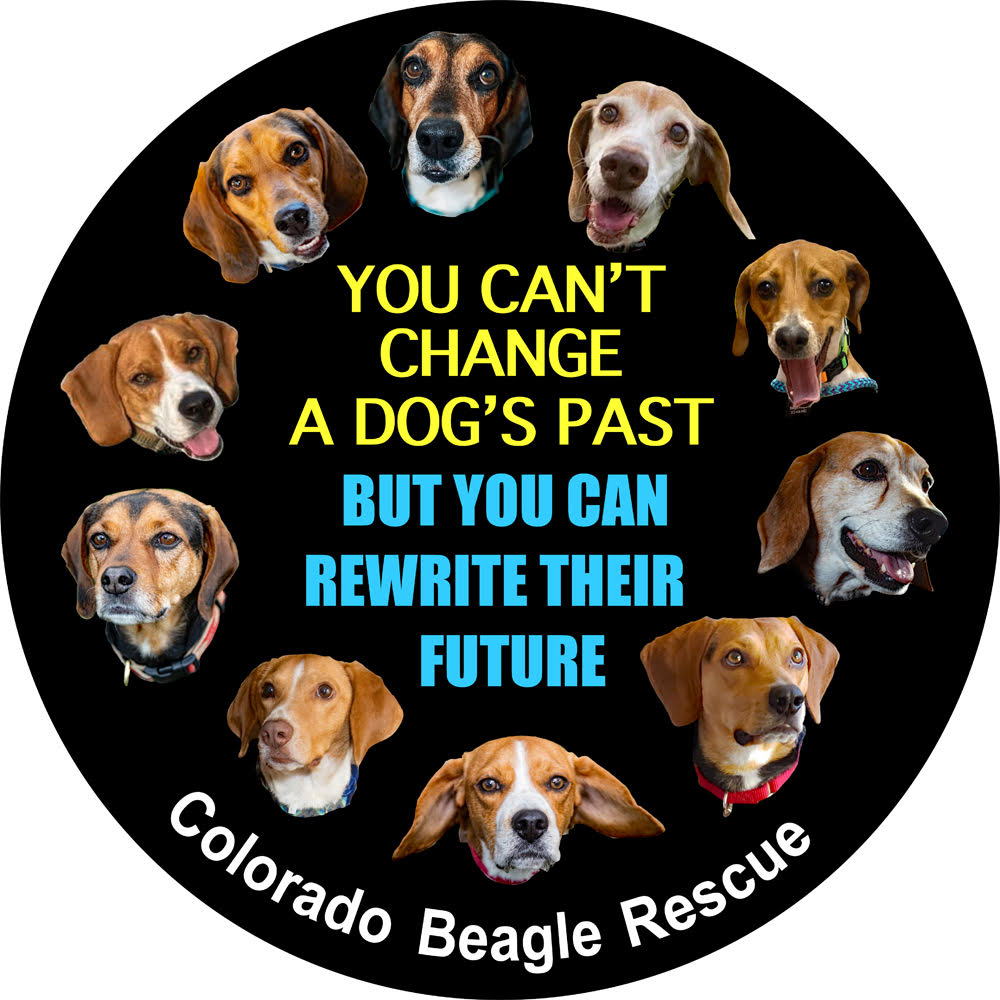 You can't change a dog's past
