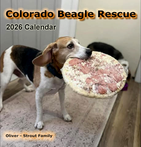 Oliver - Strout Family