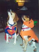 Super Heros