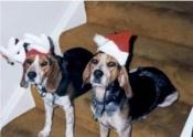 Snoopy & Peanut